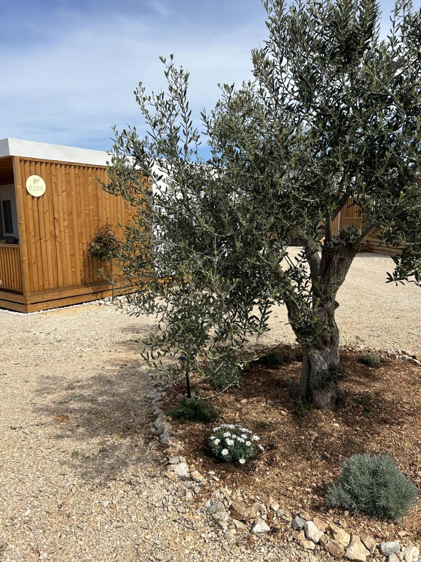 O'Live Premium Mobile Home Drage Luaran gambar